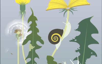 BiblioWeekend – A table!